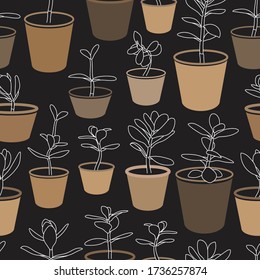 Jade Plants in Pots Vector Drawing Seamless Pattern. Money Plant Design