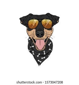 Jagdterrier breed dog wear sunglasses, bandana isolated on white background Symmetrical pet head. Realistic hand drawn vector illustration.