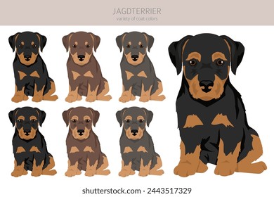 Jagdterrier puppy clipart. Different poses, coat colors set.  Vector illustration