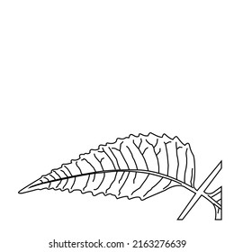 jagged leaf line art on the edges