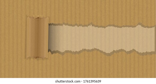 Jagged and teared cardboard vector illustration 