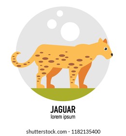 Jaguar animal vector flat illustration