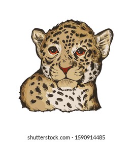 Jaguar baby tabby portrait closeup of animal isolated sketch. Panthera carnivore fauna. Wildlife of South America big mammal with furry coat. Feline cat with snout, vector hand drawn illustration