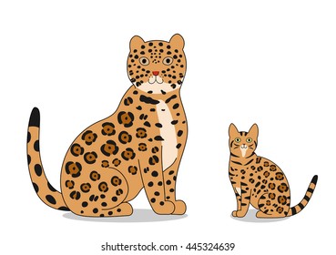 jaguar and bengal cat