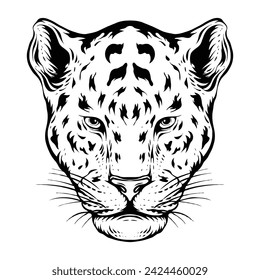 jaguar black and white line art illustration