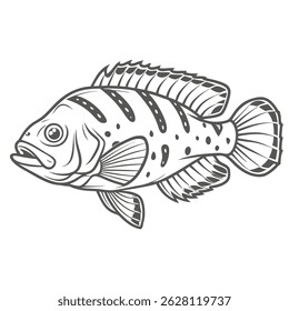 Ilustração da arte da linha do peixe de Jaguar Cichlid