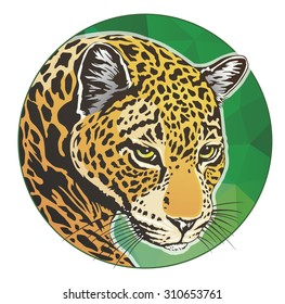 jaguar color circle