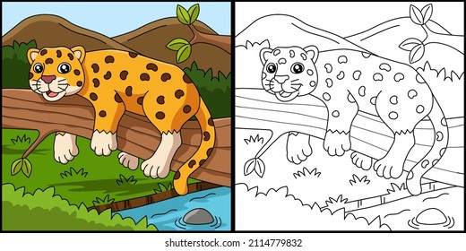 Jaguar Coloring Page Vector Illustration