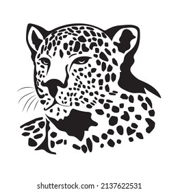 Jaguar. Hand drawn sketch illustration isolated on white background. portrait of a Jaguar animal, vector sketch illustration.