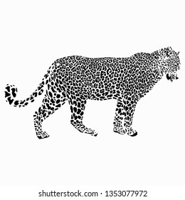 
Jaguar hand drawn vector illustration. Wild animal