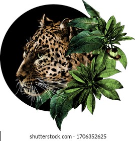 Jaguar head in profile climbs out of the bushes and looks away round composition decorated with tropical plants, sketch vector graphics color illustration on a white background