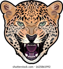 Jaguar head symmetrical colored illustration isolated background