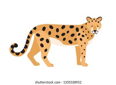 Jaguar isolated on white background. Stunning wild exotic carnivorous animal. Graceful large American wild cat or cute felid with spotted coat. Colorful vector illustration in flat cartoon style.