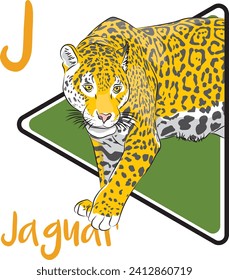 Jaguar is a large cat species and the only living member of the genus Panthera native to the Americas. Jaguars are classified as near-threatened by the IUCN