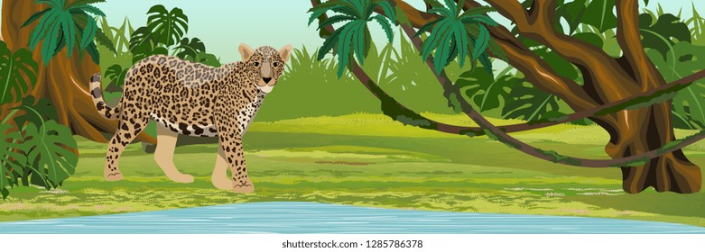 Jaguar near the lake. Jaguar in the jungle. Big cat on the hunt. Amazonia rain forests. Realistic Vector Landscape