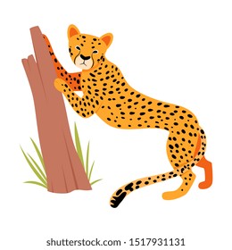 Jaguar near a tree trunk. Vector illustration on a white background.