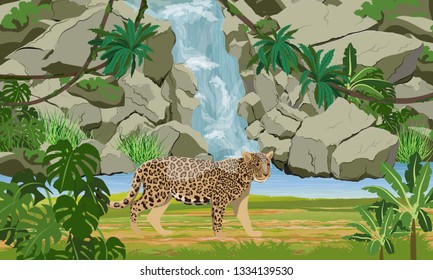 Jaguar near the tropical waterfall and large lake. Jaguar in the jungle. Big cat on the hunt. Amazonia rain forests. Realistic Vector Landscape