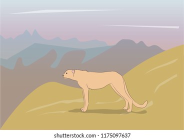 jaguar on nature vector, jaguar on nature vector