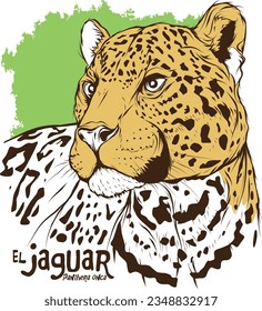  jaguar (Panthera onca) - FELINO