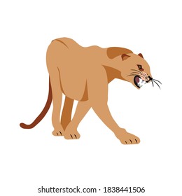 Jaguar Puma Lion panther. Vector illustration. Animal isolated on white background as logo, mascot. Design of Aggressive Panther