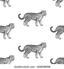 Jaguar. Seamless pattern with animals South America. Hand drawing of wildlife. Vector illustration art. Black and white. Old engraving. Vintage. Design for fabrics, paper, textiles, fashion.