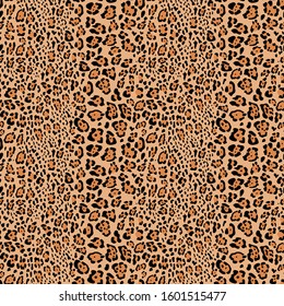 Jaguar seamless pattern, fashionable skin print in vector graphics