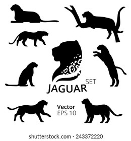 Jaguar Set Vector