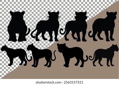 jaguar silhouette of vector black cat, feline, pet animal, kitten or kitty in various poses isolated on white background.