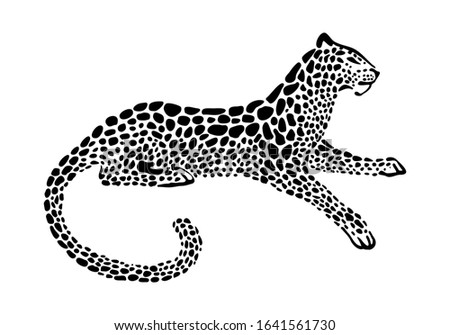 Jaguar spotted silhouette. Vector lying wildcat graphic illustration. Black isolated on white background.