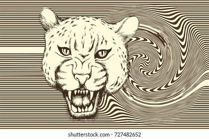 Jaguar. Vector illustration