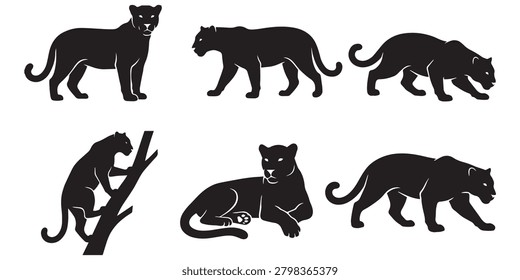 Jaguar Vector Set Different Poses