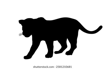 Jaguar vector silhouette illustration isolated on white background. Big cat, silent predator from America. Beautiful animal. Black panther.