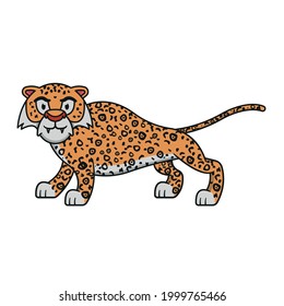 A jaguar with white background