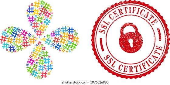 Jail grid multicolored exploding flower with 4 petals, and red round SSL CERTIFICATE textured stamp imitation. Jail grid symbol inside round stamp. Object flower done from scattered jail grid items.