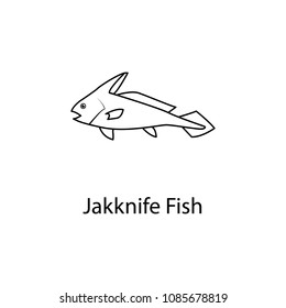 jakknife fish icon. Element of marine life for mobile concept and web apps. Thin line jakknife fish icon can be used for web and mobile. Premium icon on white background