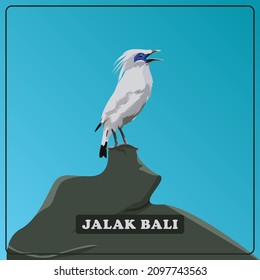 JALAK BALI OR BALI MYNA LEUCOPSAR ROTHSCHILDI RARE ENDEMIC BIRD OF BALI, ANIMAL vector ILLUSTRATION
