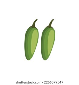 Jalapena. Pimienta verde jalapeno. jalapeno crudo, pimientos verdes. Pimienta picante verde caliente. Especias mexicanas. Ilustración vectorial aislada en fondo blanco. Para etiqueta de plantilla, embalaje, web, menú, icono