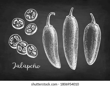 Jalapeno. Chili pepper pods and chopped pieces. Ink sketch isolated on white background. Hand drawn vector illustration. Retro style.
