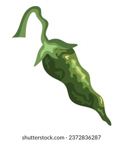 jalapeno green illustration vector isolated