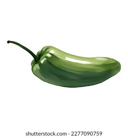 Jalapeno Pepper Detailed Hand Drawn Illustration Painting