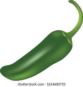 9,593 Green jalapeno Stock Vectors, Images & Vector Art | Shutterstock