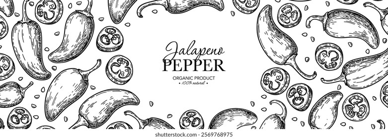 Jalapeno pepper vector drawing. Hand drawn food label. Vegetable engraved style frame. Hot spicy mexican cayenne pepper template desing for banner, packaging, and product advertisement. 