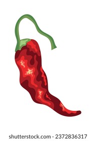 jalapeno red illustration vector isolated
