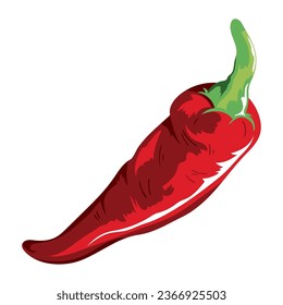 jalapeno red vegetable isolated icon