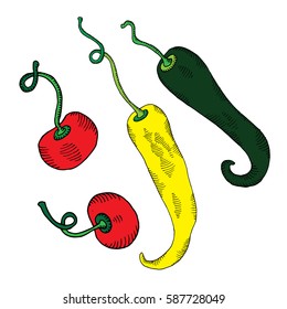 Jalapeno and tomato illustration