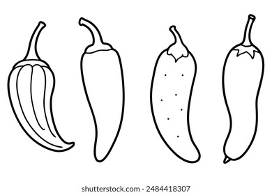 Jalapenos delicate line art vintage food illustration