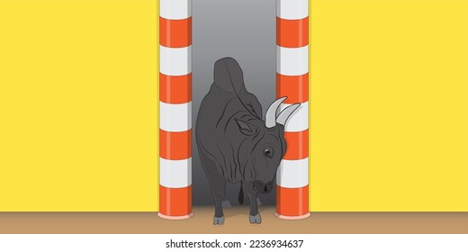 jallikattu bull come out from vaadivaasal. closeup view. traditional bull taming sport in tamilnadu.