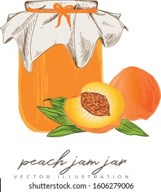 Jam jar vector illustration colored