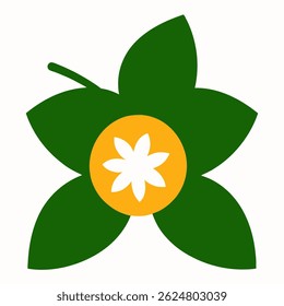 jamaica plum flower on white background