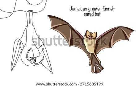 The Jamaican funnel-eared bat is distinguished by its large, funnel-shaped ears, pointed forward. One bat is hanging upside down, and the other is depicted in flight. Isolated vector.